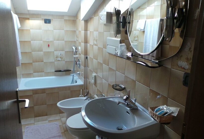 غرفة إقتصادية فردية, Albergo Antico