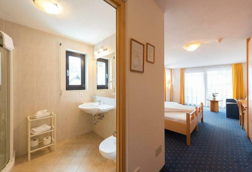 家庭间, Julius Payer