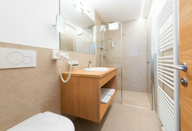 标准单人间, Julius Payer