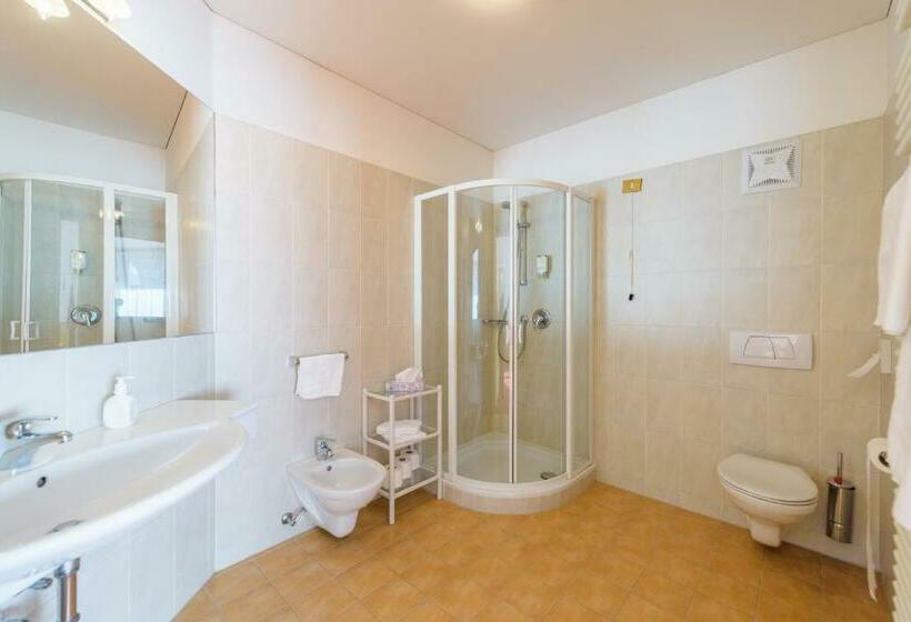 家庭间, Julius Payer