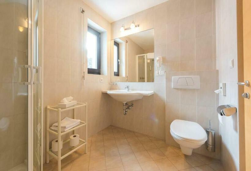 家庭间, Julius Payer