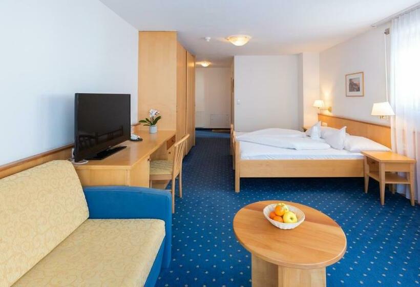 家庭间, Julius Payer