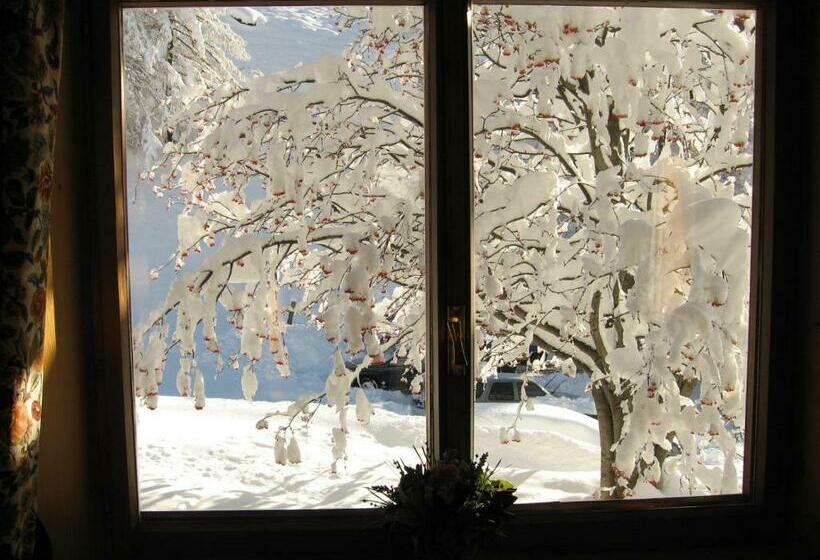 חדר סטנדרט, Lysjoch