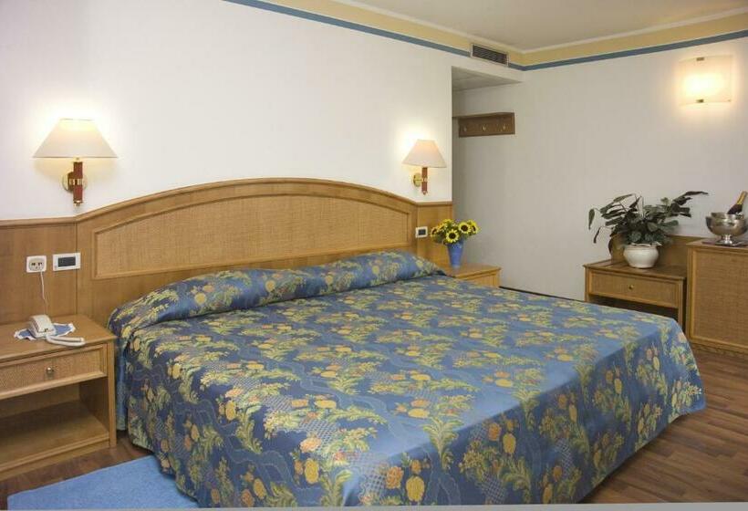 스탠다드 룸, Metropole