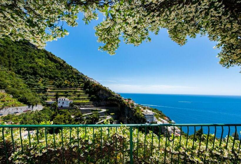 주니어 스위트 바다 전망, Pellegrino