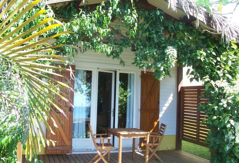 بانگلوی استاندارد, Sakouli