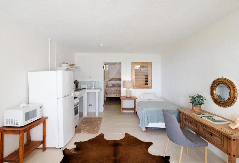 سوییت جونیور با چشمانداز دریا, Surfers Bay Resort