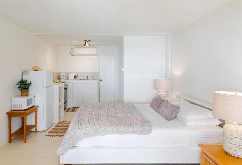 استودیوی استاندارد با چشمانداز دریا, Surfers Bay Resort