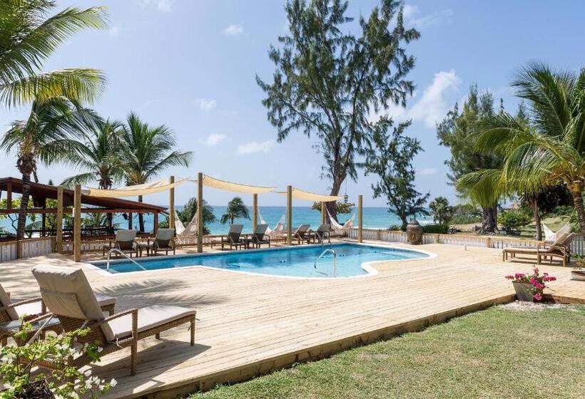 آپارتمان 1 خوابه با چشم‌انداز دریا, Surfers Bay Resort