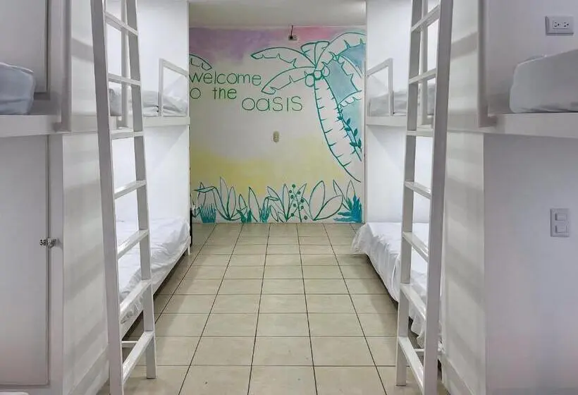 ルームシェアのワンベッド, Sjo Oasis Hostel