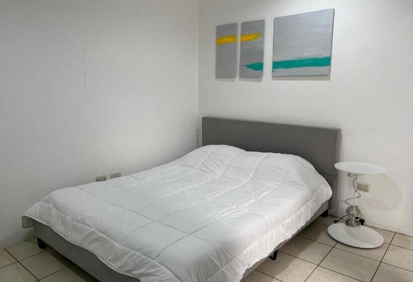 اتاق استاندارد با سرویس بهداشتی مشترک, Sjo Oasis Hostel