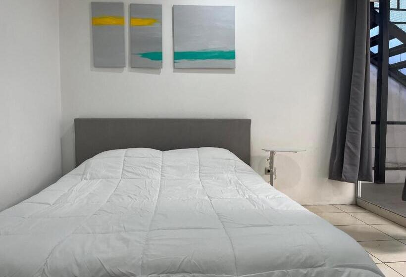 اتاق استاندارد با سرویس بهداشتی مشترک, Sjo Oasis Hostel