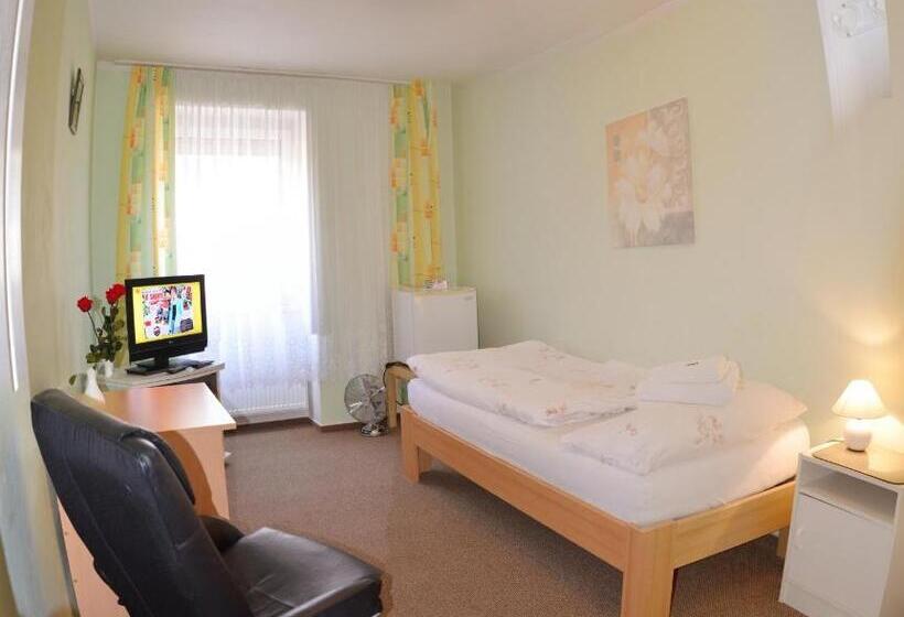 اتاق استاندارد یک نفره, Penzion Duo