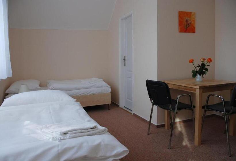 اتاق استاندارد, Penzion Duo