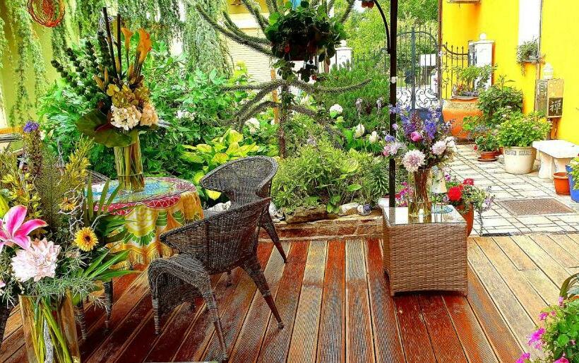 اتاق استاندارد یک نفره, Hostel Sonce