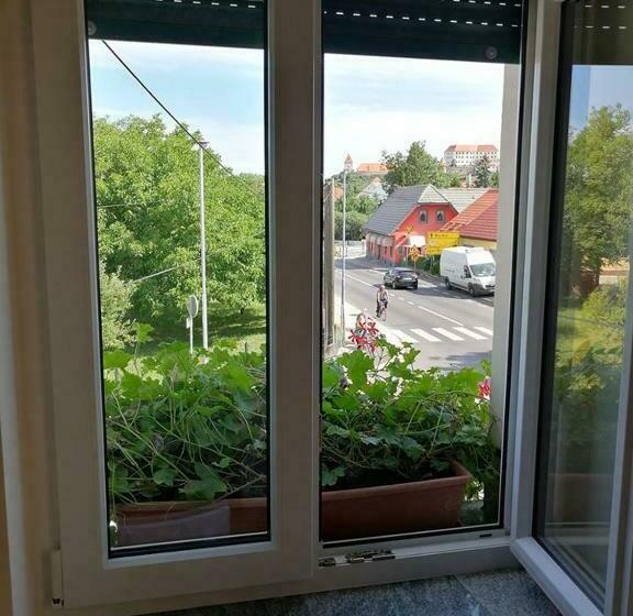 اتاق استاندارد یک نفره, Hostel Sonce