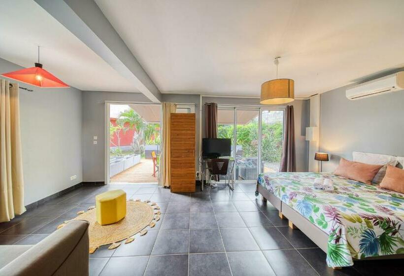 Estudio Estándar con Terraza, Tipalais