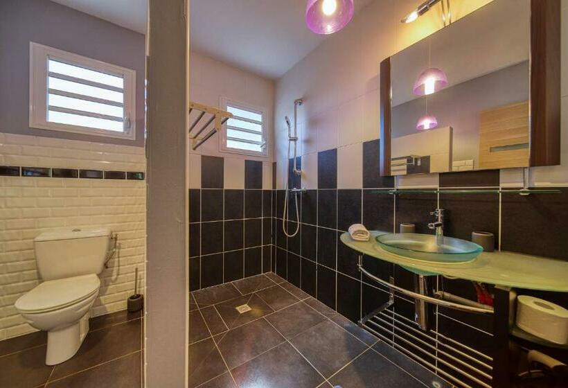 Estudio Estándar con Terraza, Tipalais