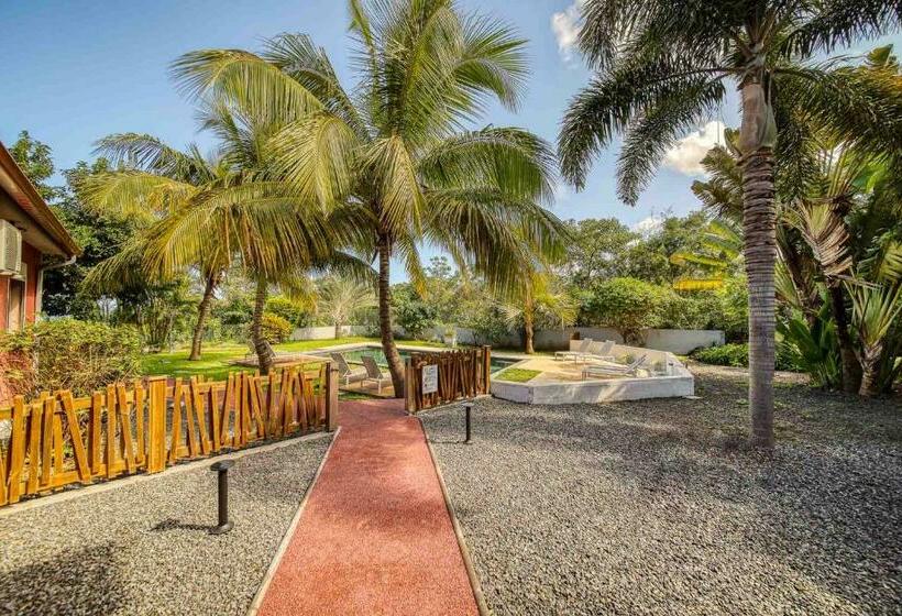 Habitación Estándar, Tipalais