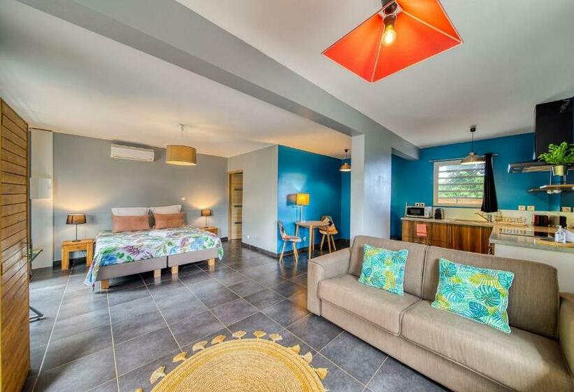 Estudio Estándar con Terraza, Tipalais