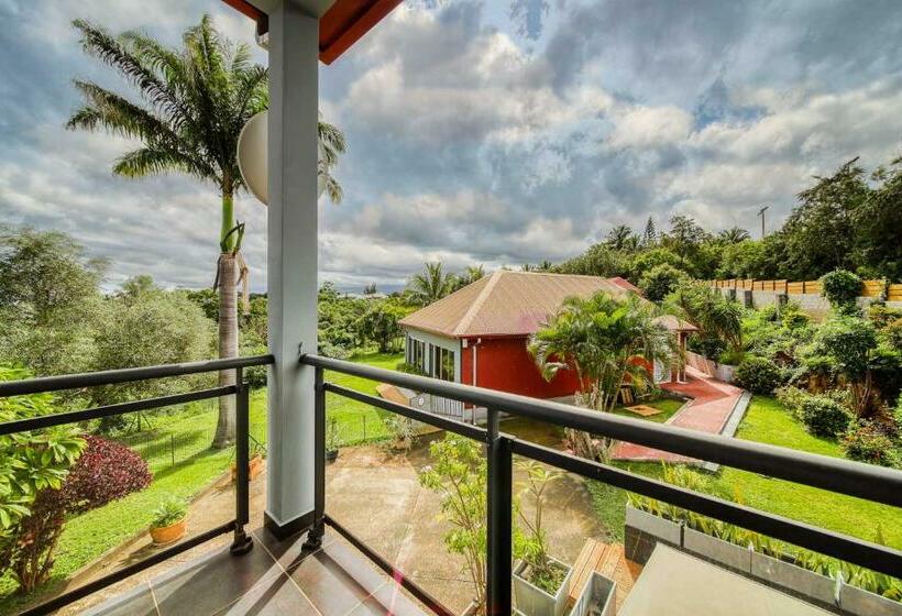 Estudio Estándar Vista Mar, Tipalais