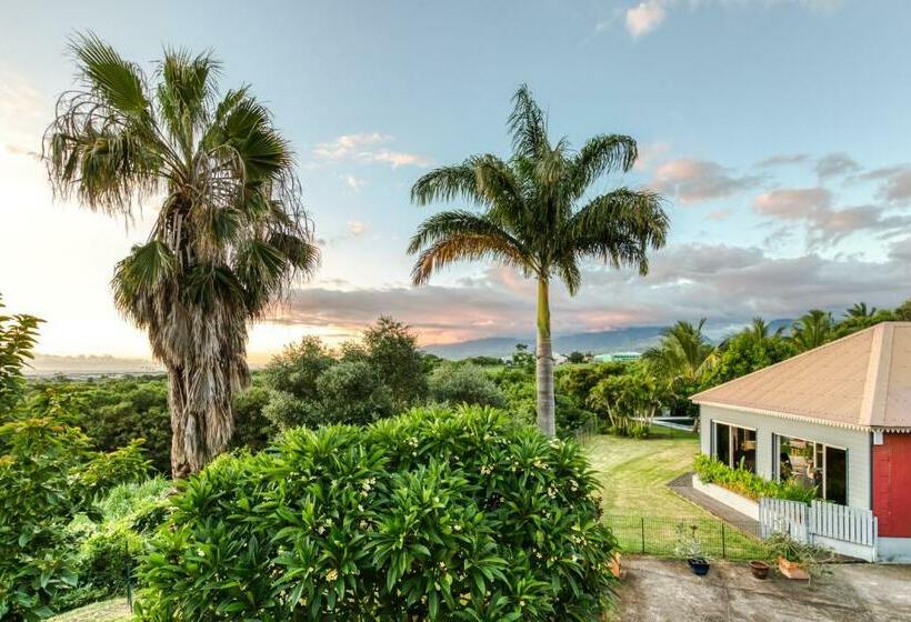 Estudio Estándar Vista Mar, Tipalais
