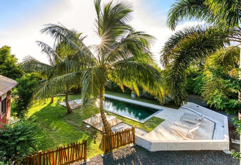 Habitación Estándar con Terraza, Tipalais