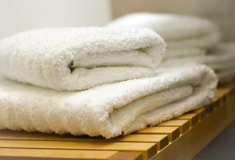 سوئیت با تخت بزرگ, Eco Boutique Hotel Ams Beagle