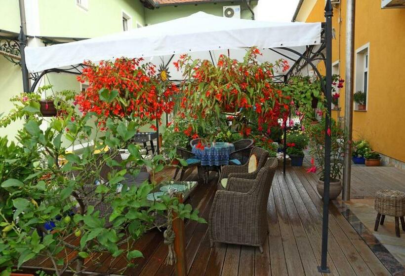 اتاق استاندارد یک نفره, Hostel Sonce