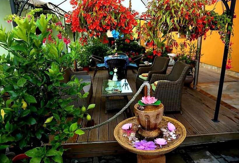 اتاق استاندارد یک نفره, Hostel Sonce