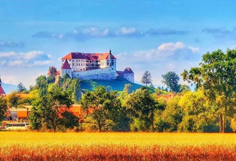 اتاق استاندارد یک نفره, Hostel Sonce