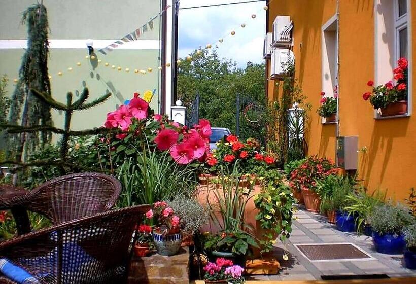 اتاق استاندارد یک نفره, Hostel Sonce