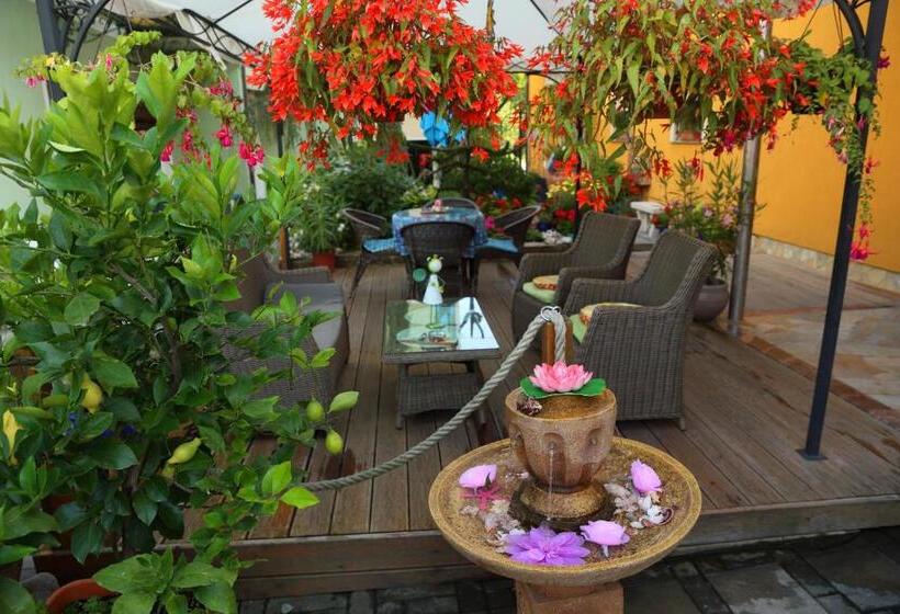 اتاق پنج‌تخته استاندارد, Hostel Sonce