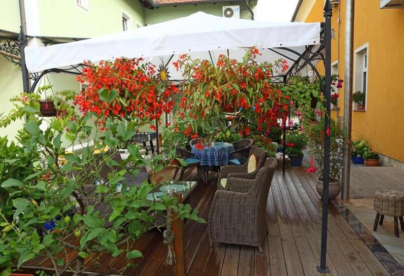 اتاق پنج‌تخته استاندارد, Hostel Sonce