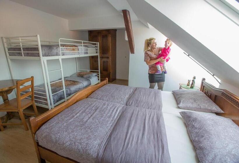 اتاق استاندارد چهار تخته, Hostel Sonce