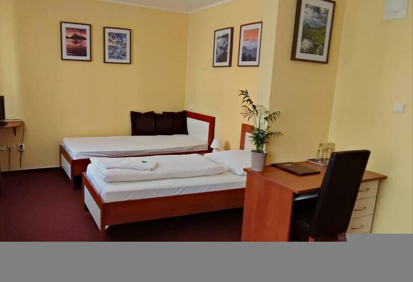 スタンダードシングルルーム, 21