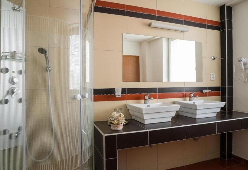 スタンダードルーム, 21