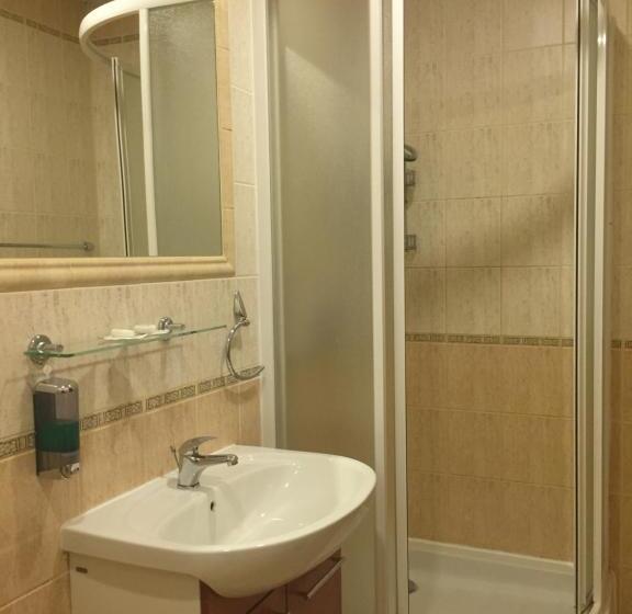 غرفة قياسية, Bothe