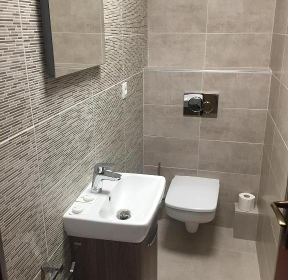 شقة بريميوم غرفة واحدة, Bothe