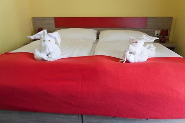 חדר סטנדרט, F   Team