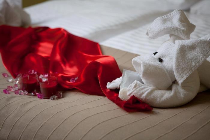 スタンダードルーム, F   Team