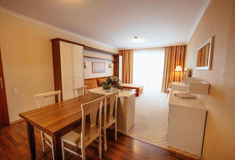 带1个卧室的带阳台的公寓, Residence