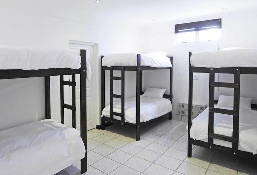 سرير فى غرفة مشتركه, Stoked Backpackers