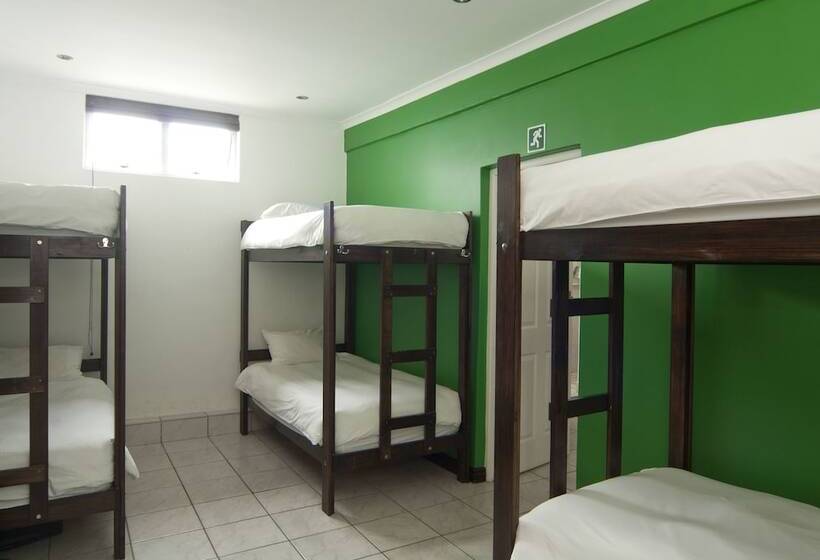 سرير فى غرفة مشتركه, Stoked Backpackers