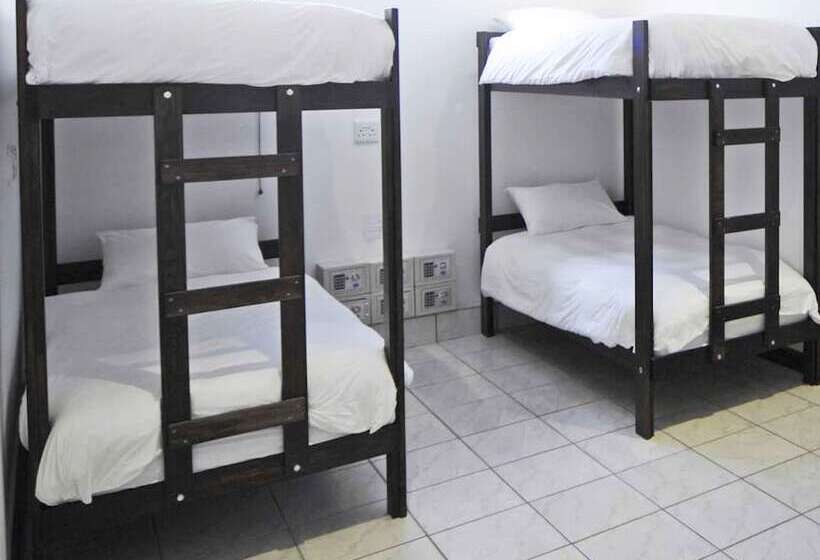 سرير فى غرفة مشتركه, Stoked Backpackers