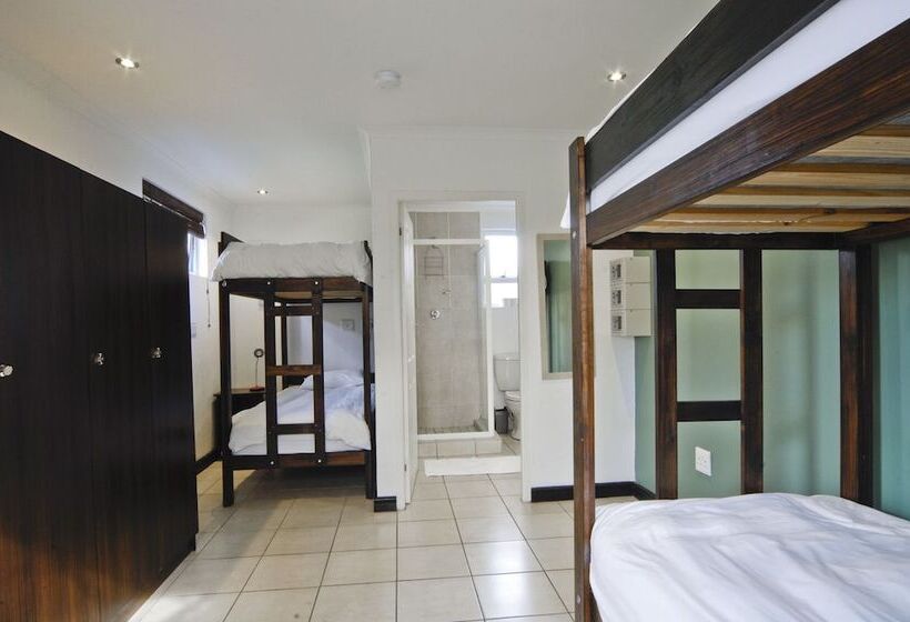 سرير فى غرفة مشتركه, Stoked Backpackers