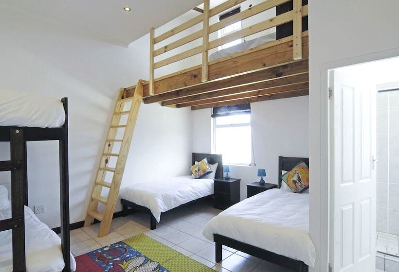 سرير فى غرفة مشتركه, Stoked Backpackers