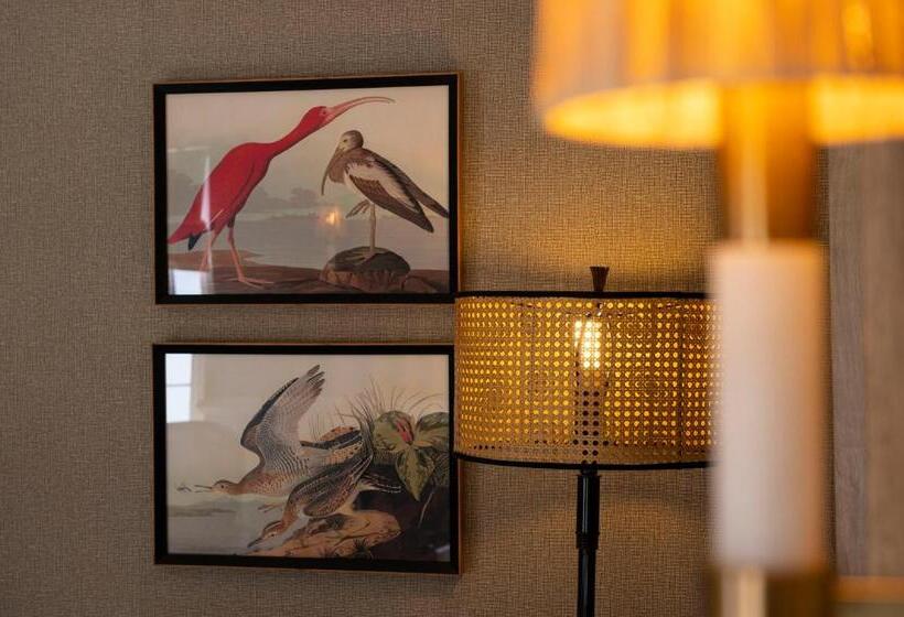 מיטת קינג בסוויטה, Anew Hotel Hilton Pietermaritzburg