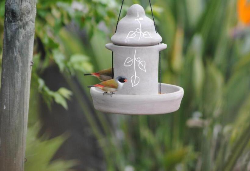 Deluxe Room Mountain View, Roundhouse Guesthouse