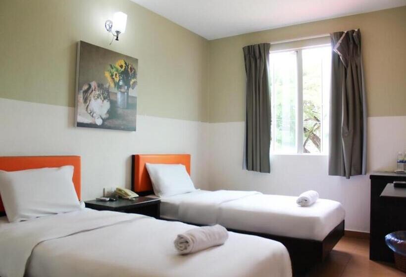 Pokój Deluxe, Jq Suria